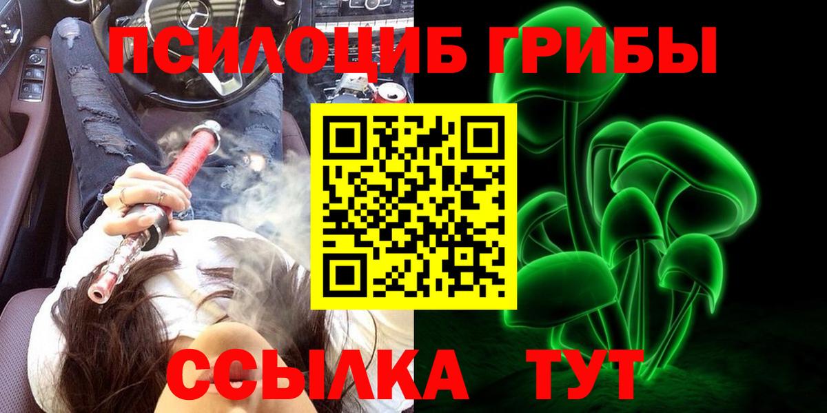 Галлюциногенные грибы прущие грибы Александров